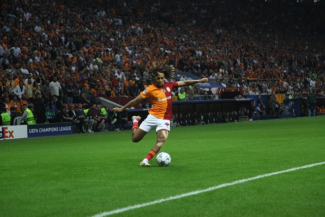 背景也帮助 背景也帮助