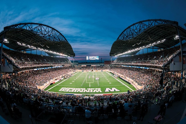 年里约奥运 年里约奥运