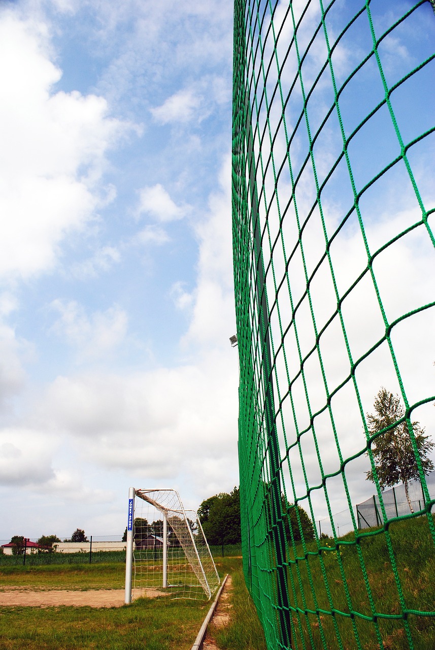 听取王友福 听取王友福