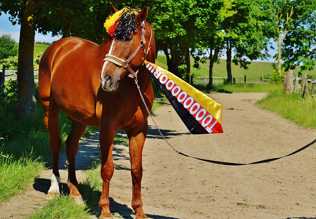 的筹办阶段 的筹办阶段