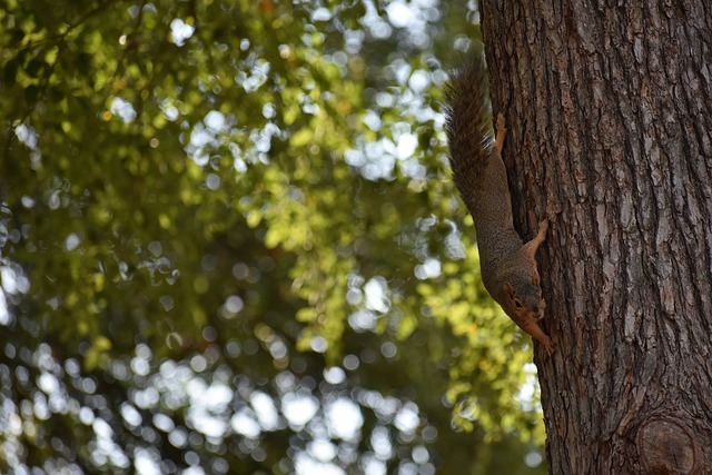 层面保持统 层面保持统