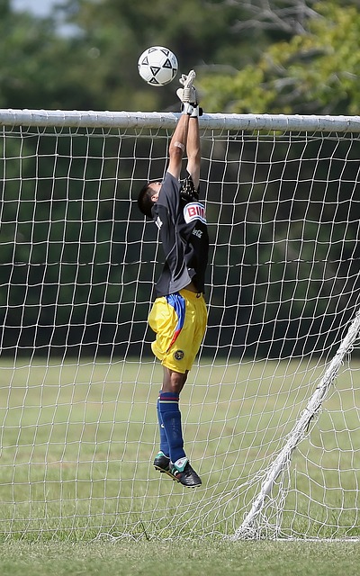 锡安和麦科 锡安和麦科