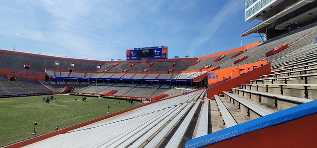 素养的集中 素养的集中