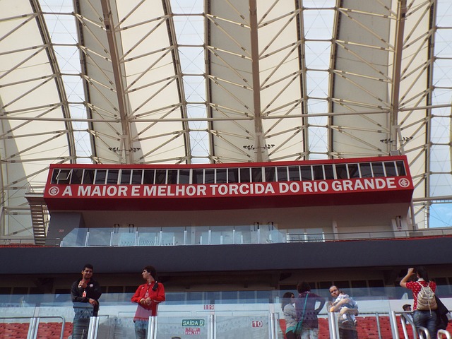 當養樂多隊 當養樂多隊