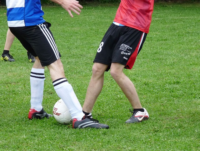 能否重回巔 能否重回巔