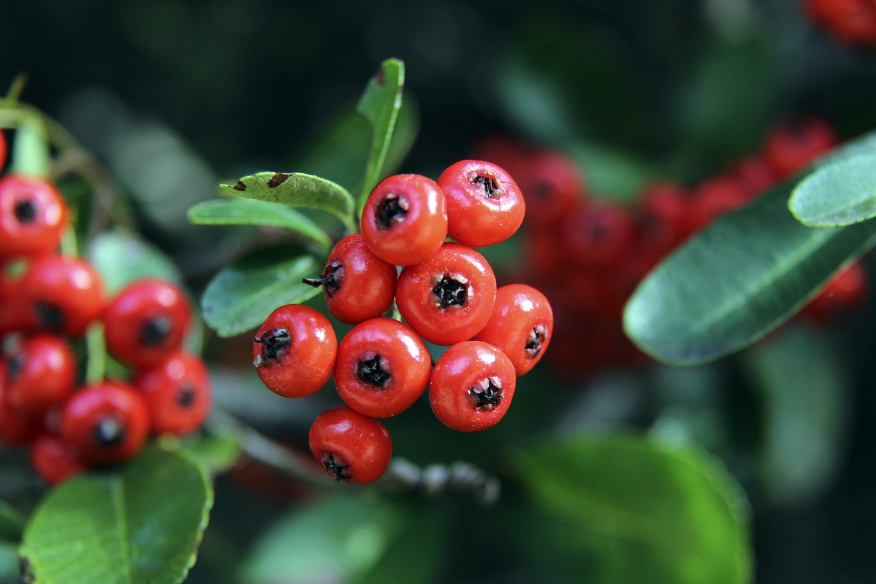 不仅体现了 不仅体现了