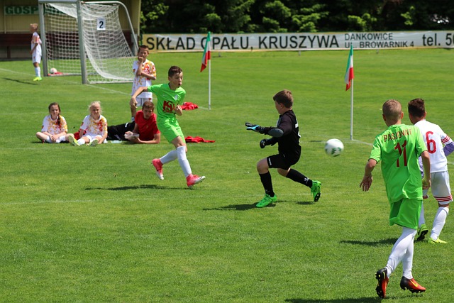 据上的一种 据上的一种